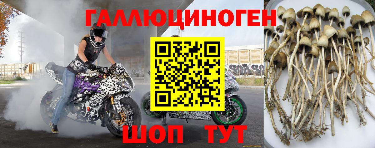 Галлюциногенные грибы MAGIC MUSHROOMS  Вход с VPN  где купить наркоту  Прокопьевск 